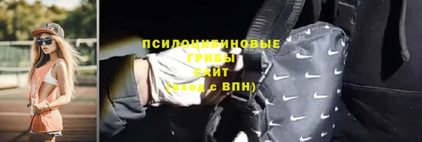 молекула духа Алексеевка