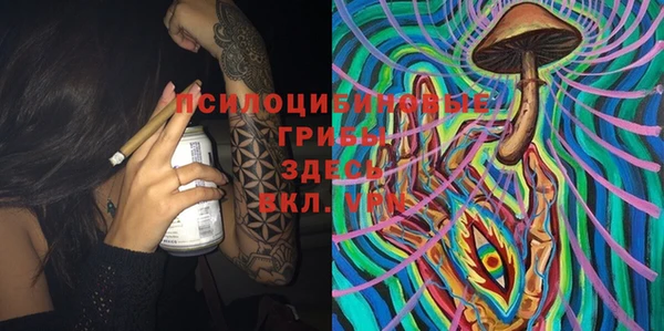 метадон Алексин