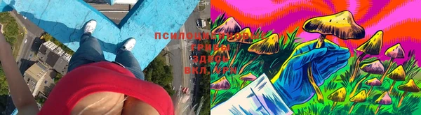 молекула духа Алексеевка