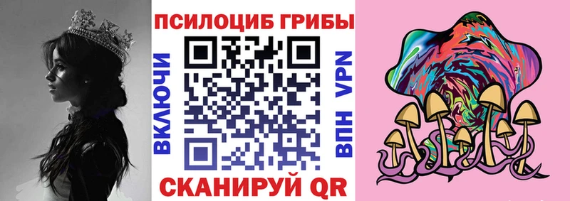 Галлюциногенные грибы GOLDEN TEACHER Оса